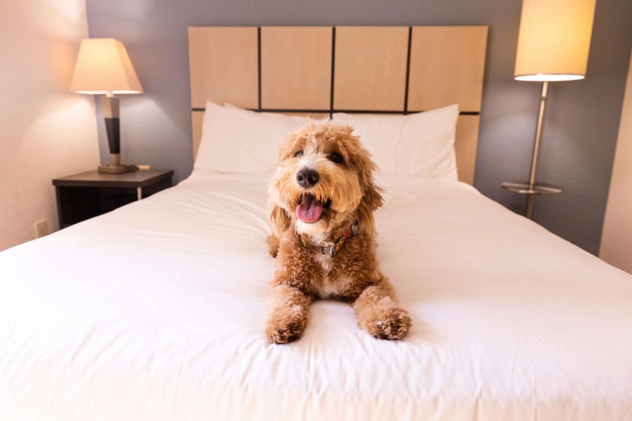 Sonesta Simply Suites Anaheim Garden Grove Esterno foto